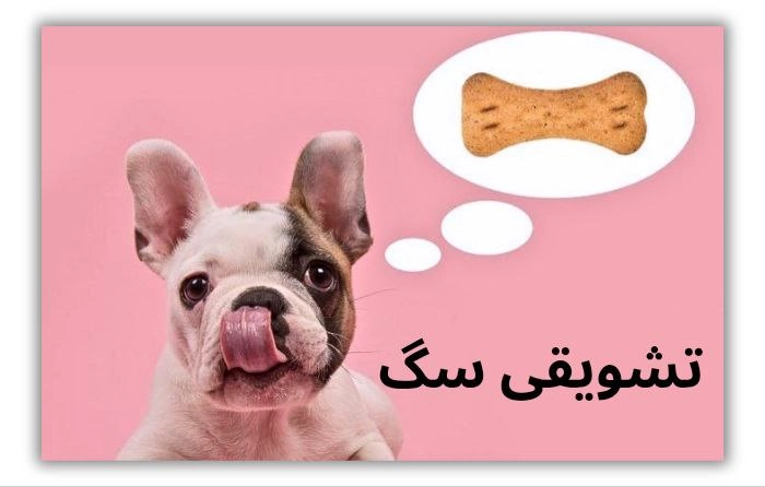 تشویقی سگ