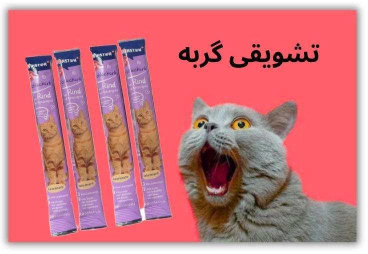 تشویقی گربه