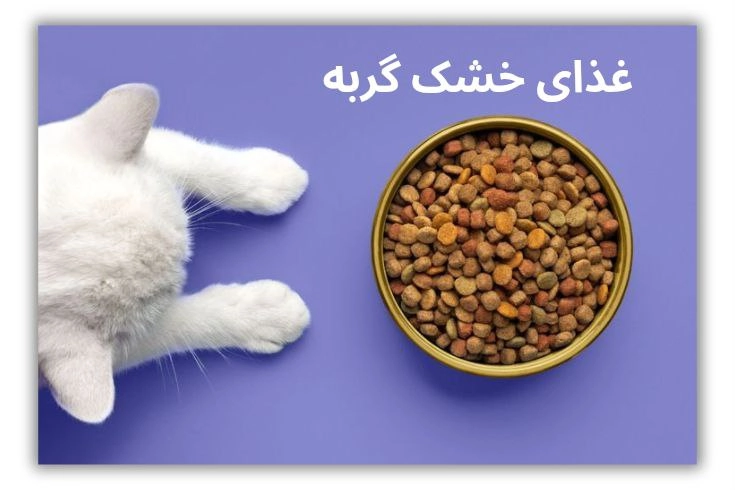 غذای خشک گربه