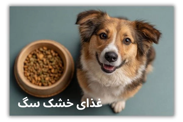 غذای خشک سگ