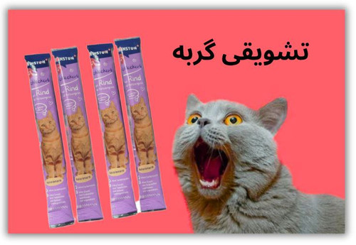 خرید تشویقی گربه