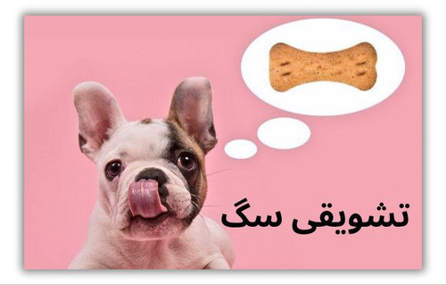 خرید تشویقی سگ