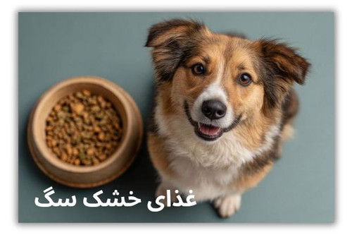 خرید غذای سگ