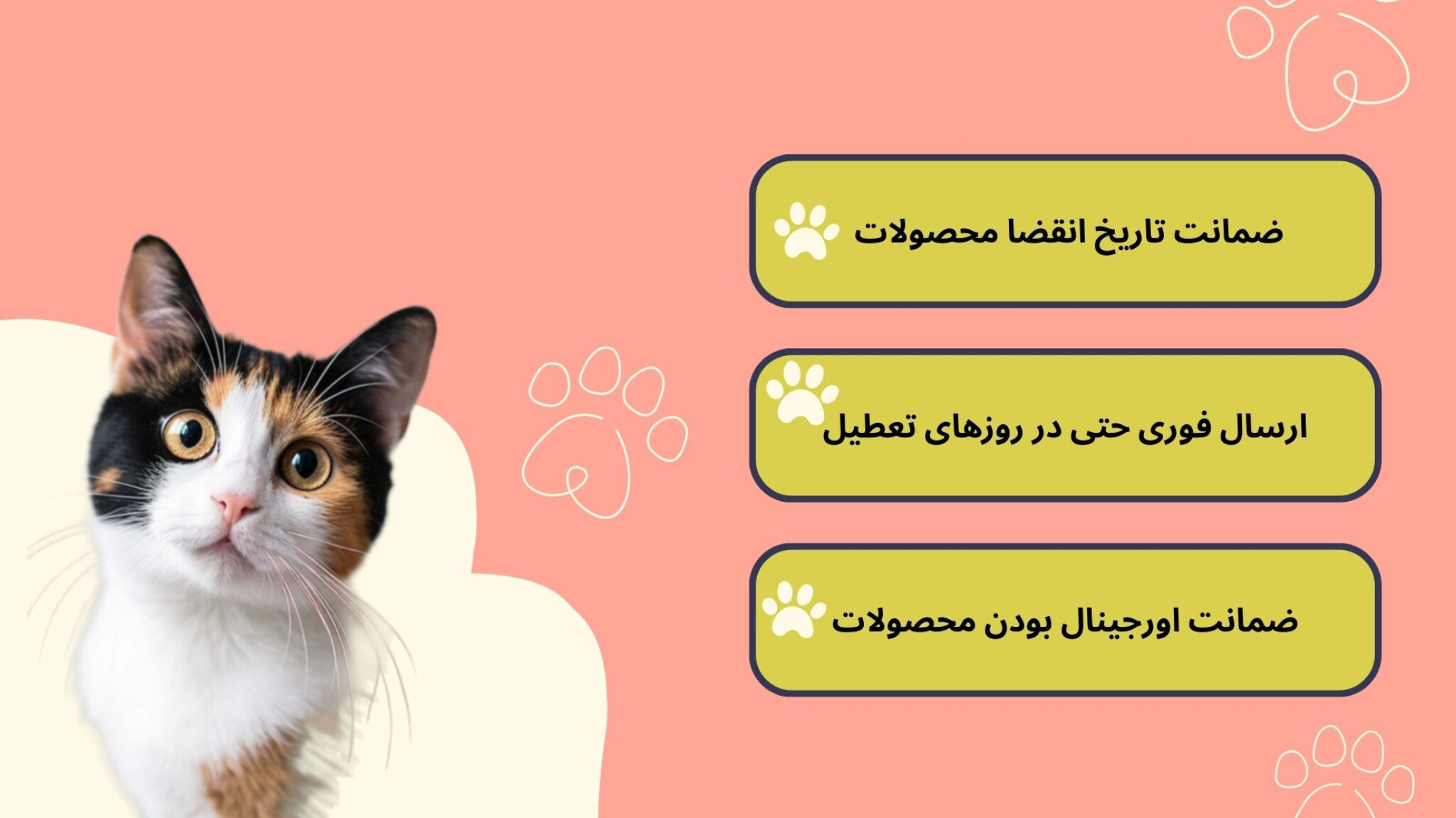 پت شاپ یانا