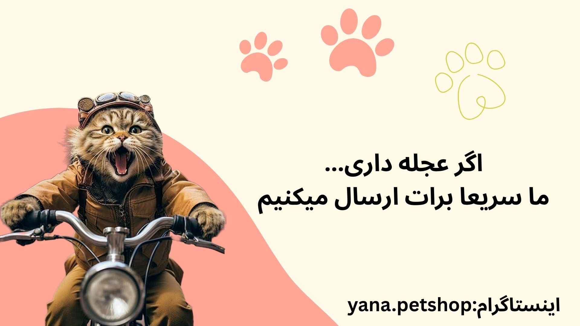 پت شاپ یانا