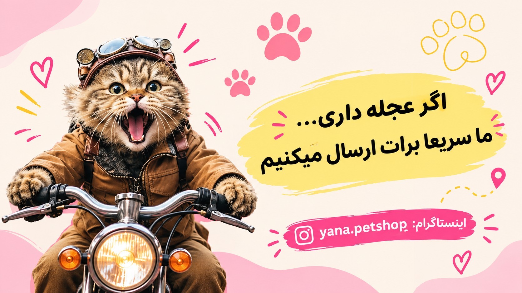 پت شاپ یانا