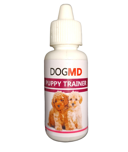 خرید قطره اموزش ادرار سگ