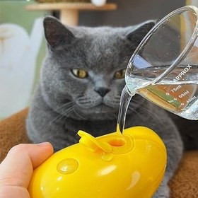 خرید برس بخاردار گربه