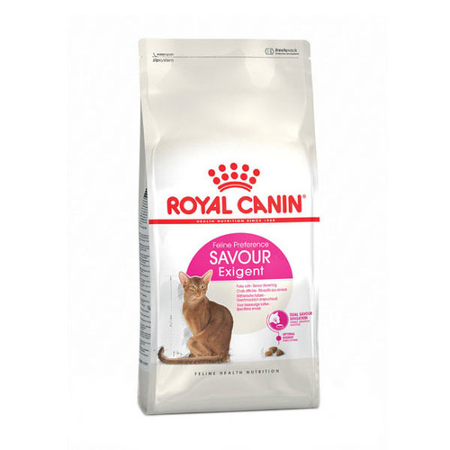 خرید غذای خشک ساور اگزیجنت گربه رویال کنین Royalcanin