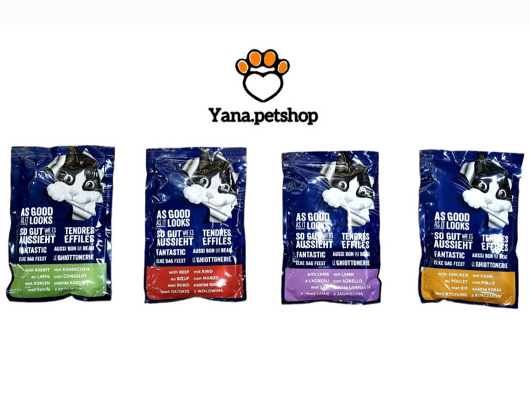 خرید پوچ گربه فلیکس felix