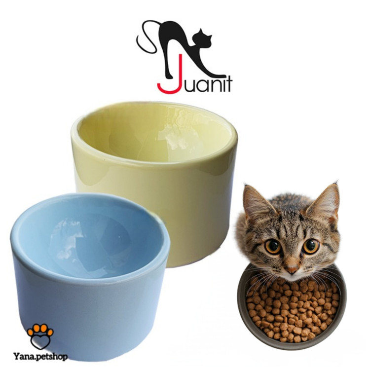 خرید ظرف آب و غذای گربه