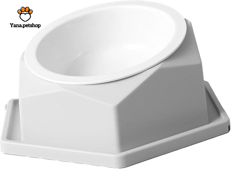 ظرف باکیفیت آب و غذای گربه