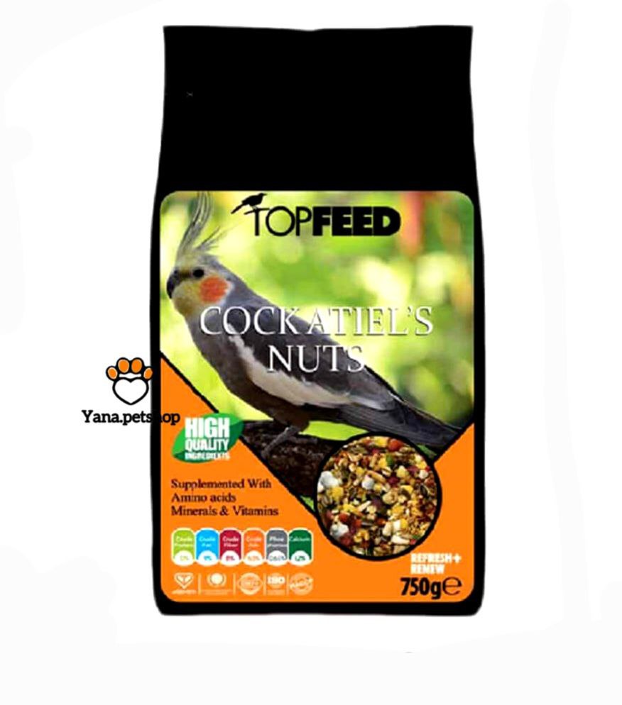 خرید آجیل عروس هلندی تاپ فید ارسال فوری