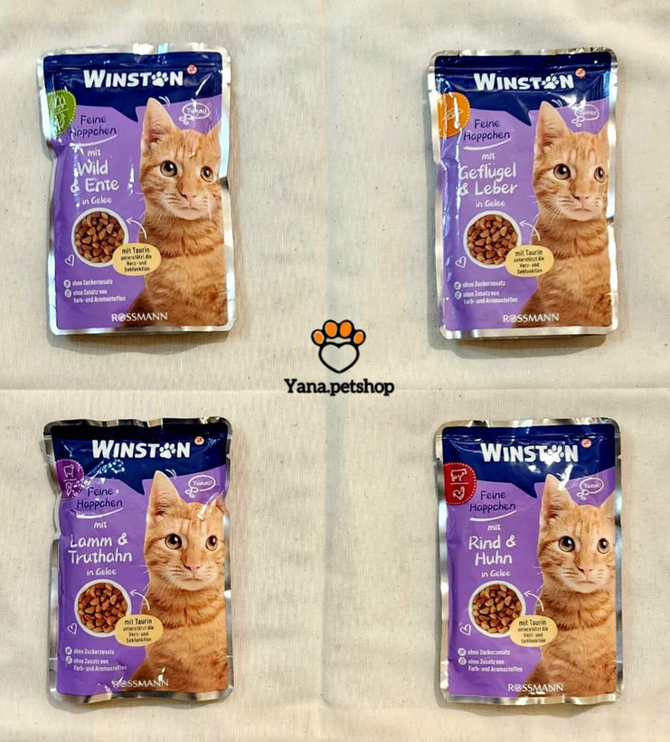 خرید و قیمت پوچ وینستون گربه