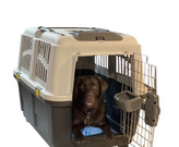 قیمت باکس حمل سگ و گربه رها