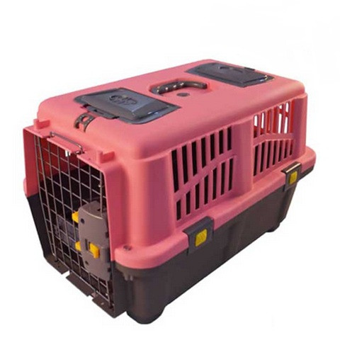 خرید باکس سگ و گربه رها