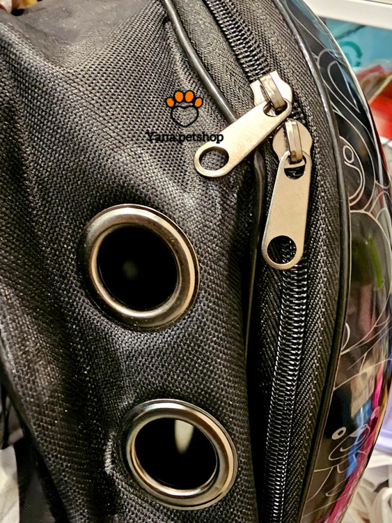 خرید کوله حمل گربه قیمت مناسب