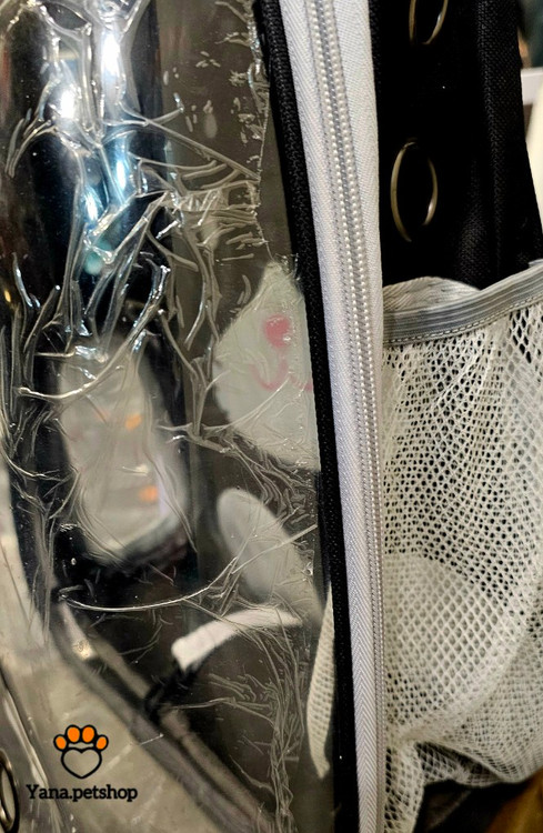 خرید و قیمت کوله حمل تمام طلقی گربه