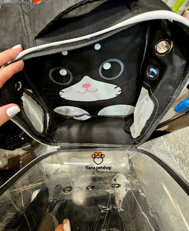 خرید کوله حمل گربه