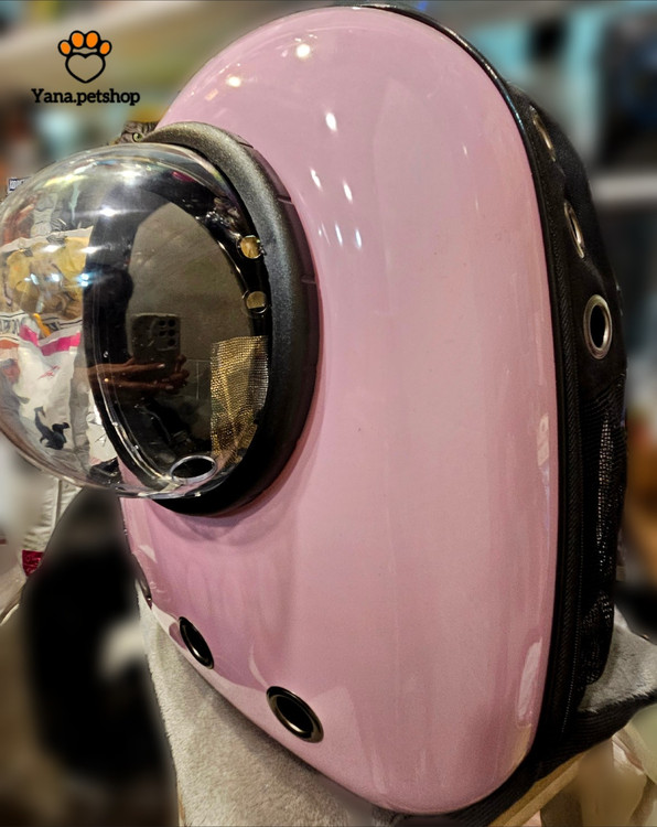 بهترین کوله حمل سگ و گربه