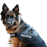 خرید آنلاین قلاده پلیسی K9 سگ مریلند | 3 سایز