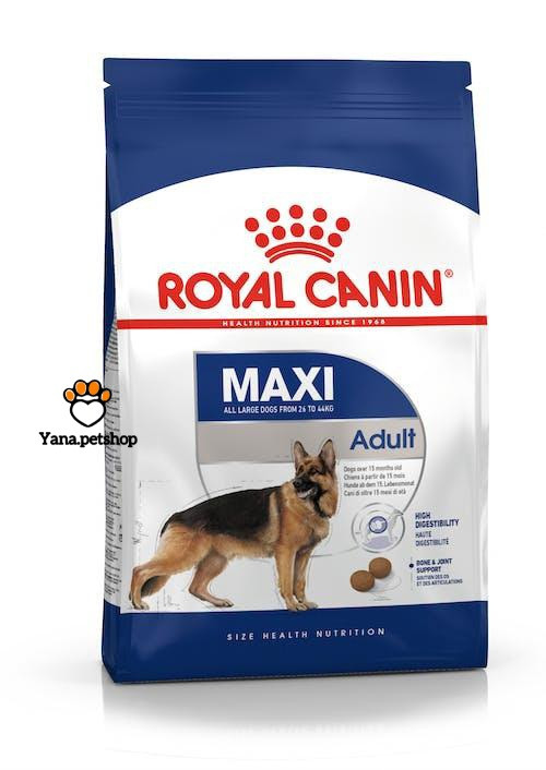 خرید آنلاین غذای سگ نژاد بزرگ رویال کنین مدل مکسی ادالت