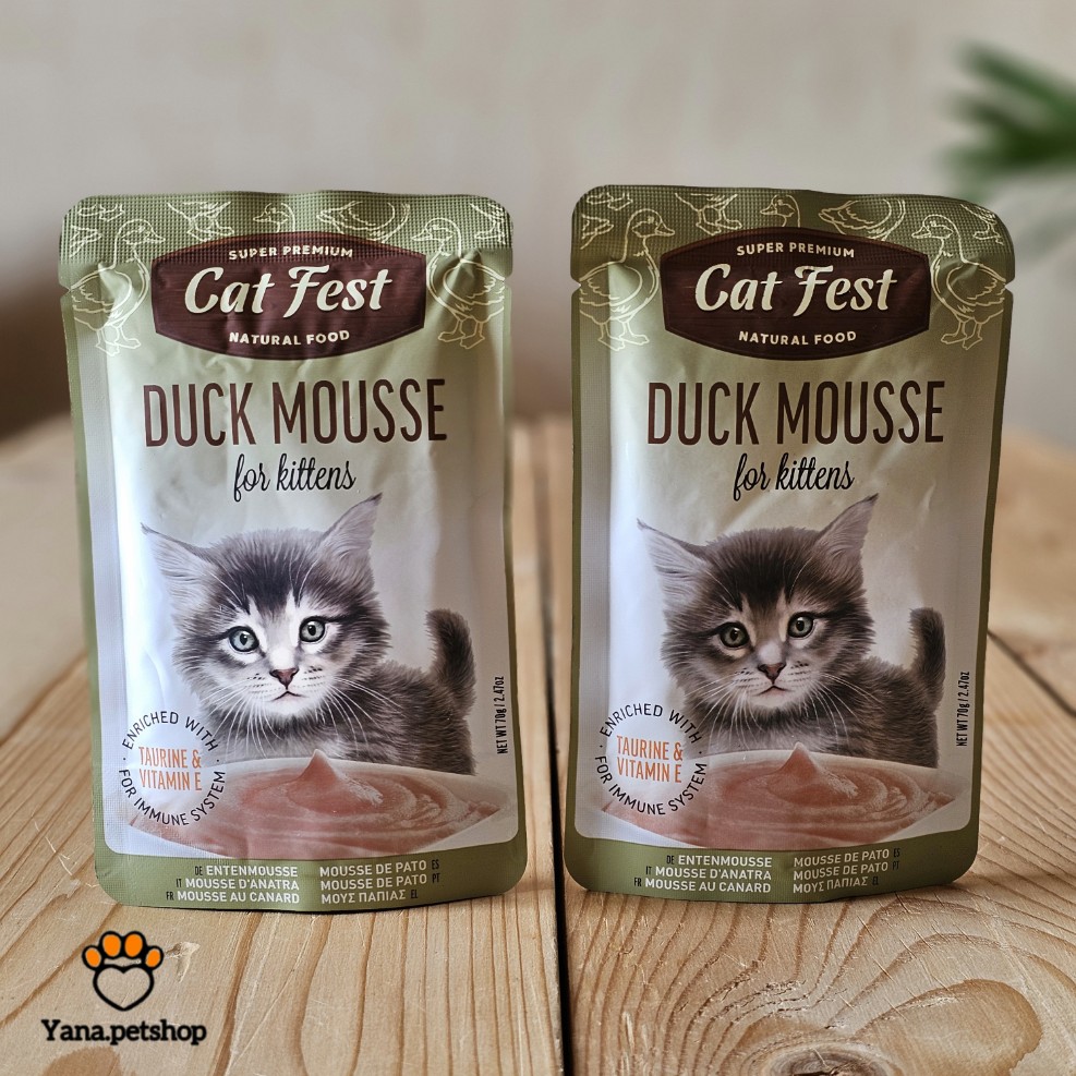 خرید پوچ بچه گربه کت فست مدل موس اردک | 70 گرم