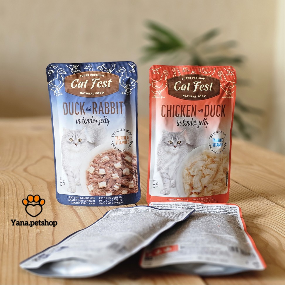 خرید پوچ گربه کت فست در 2 طعم | بافت نچرال و طبیعی