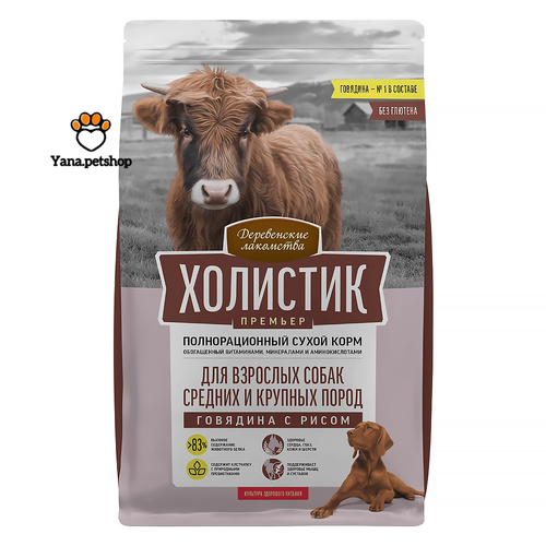 خرید غذای خشک سگ بالغ نژاد متوسط و بزرگ داگ فست با طعم گوشت گاو | 2 کیلوگرم