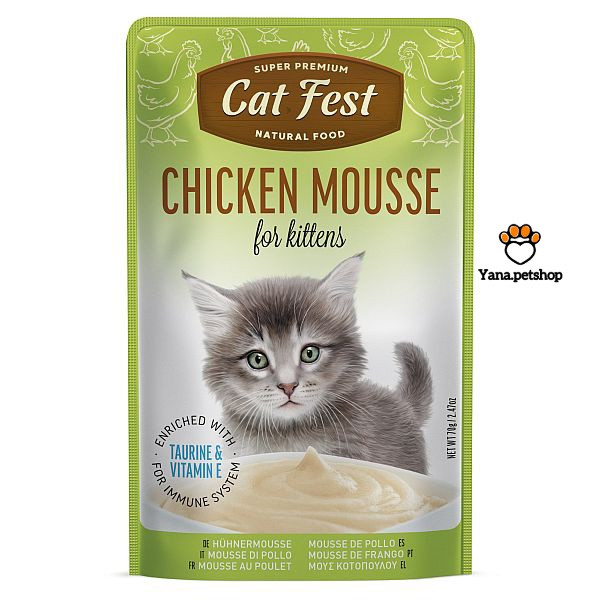 خرید پوچ بچه گربه کیتن کت فست مدل موس طعم مرغ