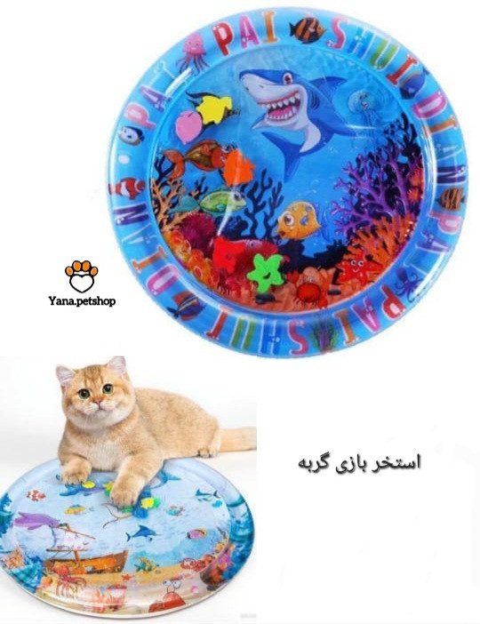 خرید استخر بازی گربه طرح ماهی