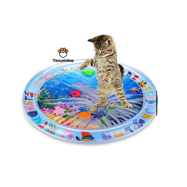 خرید استخر بازی گربه طرح ماهی