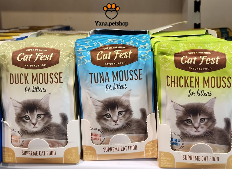 پوچ کیتن کت فست مدال موس ۳ طعم