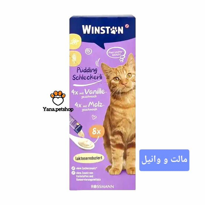 خرید بستنی گربه وینستون ارسال فوری