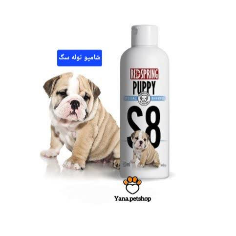 شامپو توله سگ رداسپرینگ ۲۵۰ میلی لیتر ارسال فوری