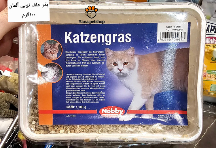خرید بذر علف گربه نوبی آلمان ارسال فوری